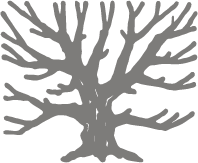 Trae-Logo-sort-60procent